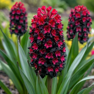 Гиацинт Джем Стоун купить по цене от 2099р. в интернет-магазине «Посадика» с доставкой почтой в в Красновишерске и по всей России – [изображение №1].