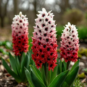 Гиацинт Скай Гарден купить по цене от 2099р. в интернет-магазине «Посадика» с доставкой почтой в в Красновишерске и по всей России – [изображение №1].